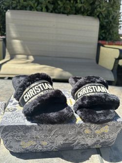 Dior Slides