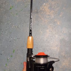 Zebco Fishing Pole And Reel