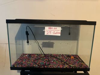 29 Gallon Tank/ Aquarium