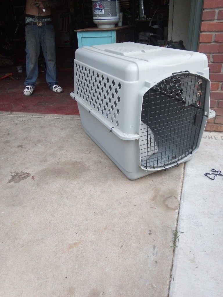 Large Dog Kennel