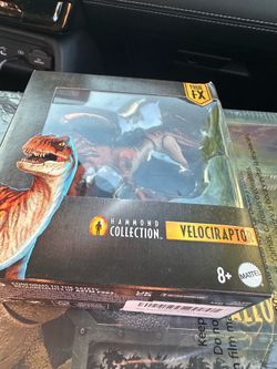 New Hammond collection