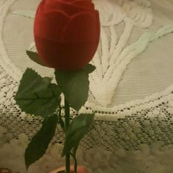 Red rose flower ring Case 