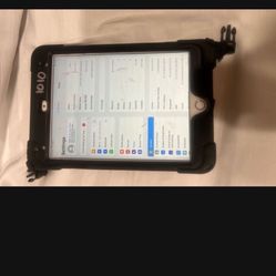 Ipad Mini 5th Gen 64gb 1010 With BRAECN Handheld Case