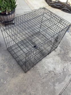 Dog Crate 
