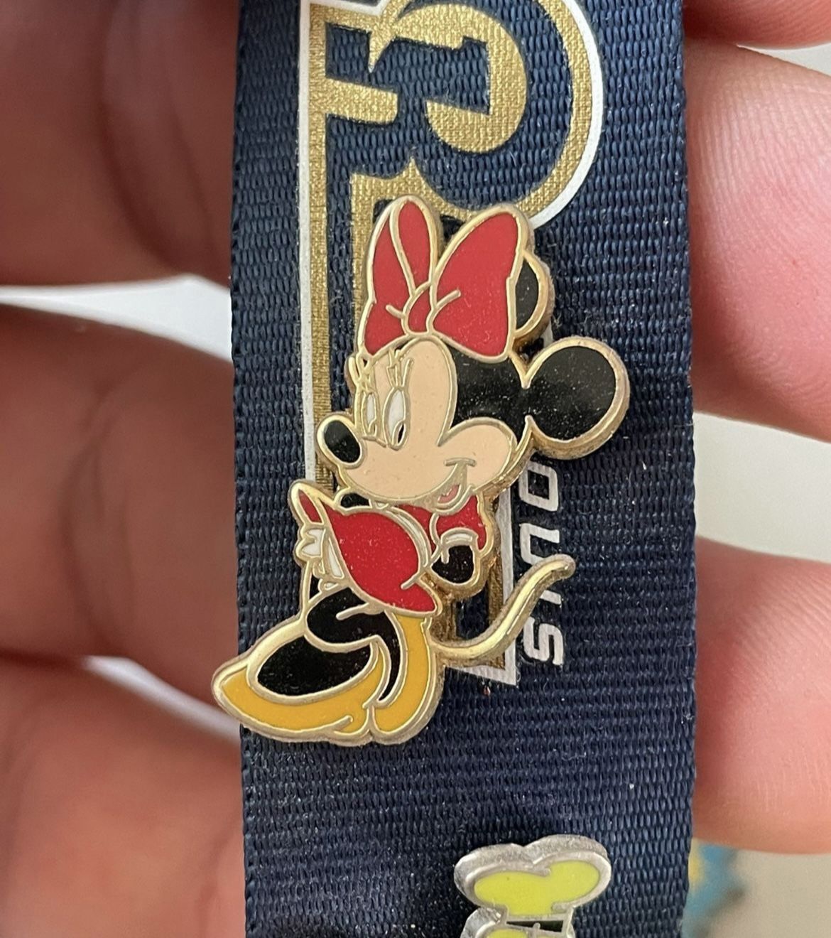 Minnie Mouse Pin! 