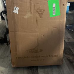Portable Basketball Court