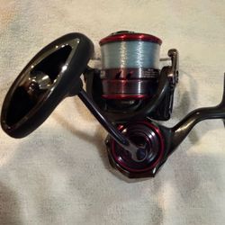 Daiwa ballistic MQ LT 4000 Spinning Real 