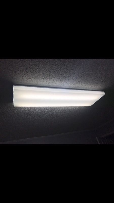 Light