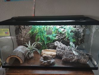 Aquariums plus creative reptile terrarium