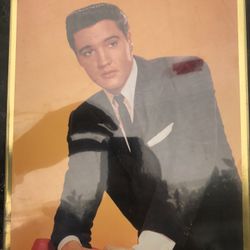Elvis Photographed Framed