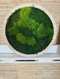 Moss Frame 