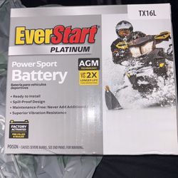 TX16L EverStart AGM Factory Activated Powersport 12 Volt Battery 230 CCA 14 RC