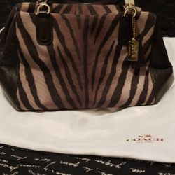 Coach zebra print