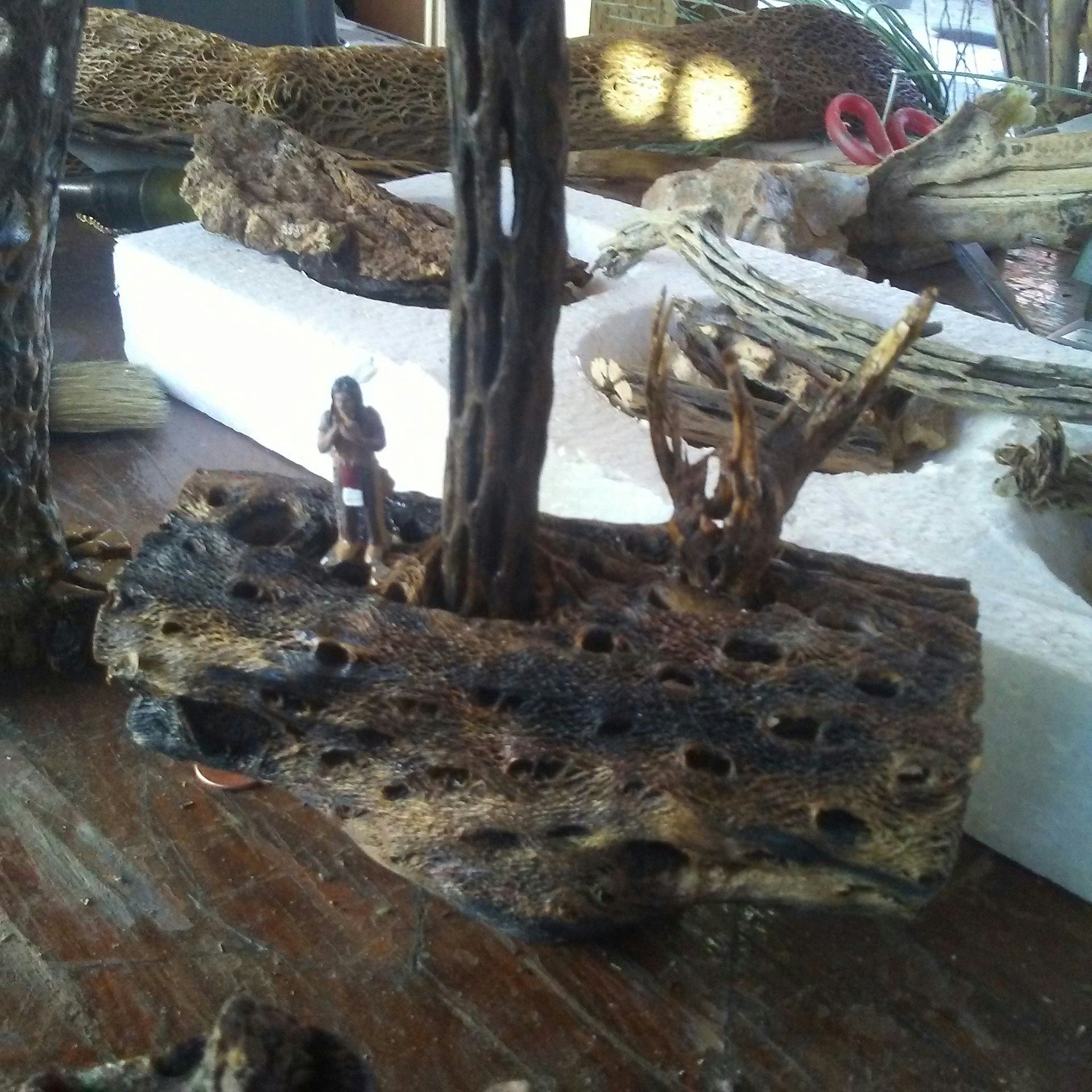 Cholla cactus skeleton art Arrangements jewelry furniture excellent for resale gift shops