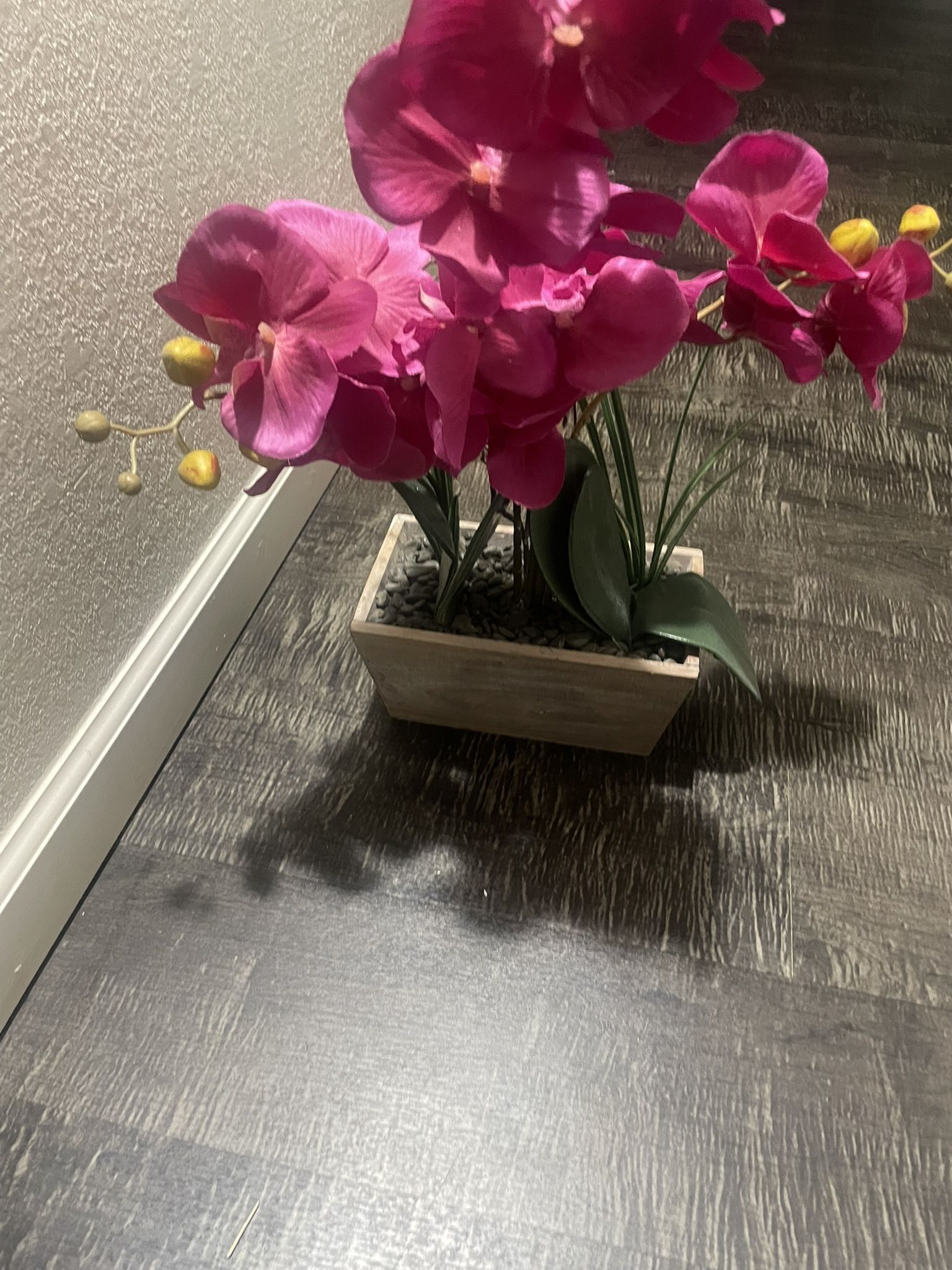 Plant Faux Orchid Blossom