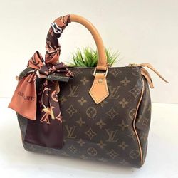 Authentic Louis Vuitton EUC 