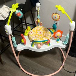 Baby Bouncer
