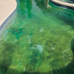 Green Swimming Pool 