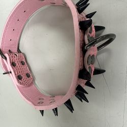 Spike Dog Collar Medium New