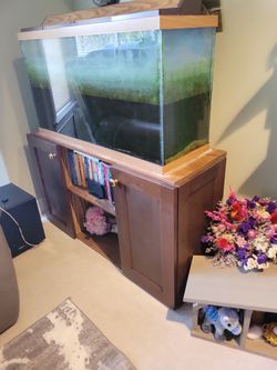 38 Gallon Aquarium With Stand