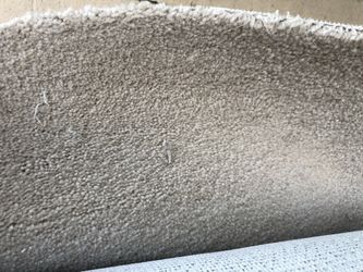 Carpet$$