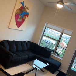 Sectional Couch For Sale 