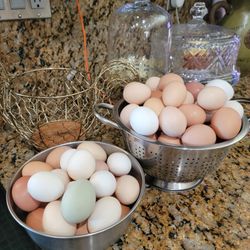 Organic Fresh Eggs