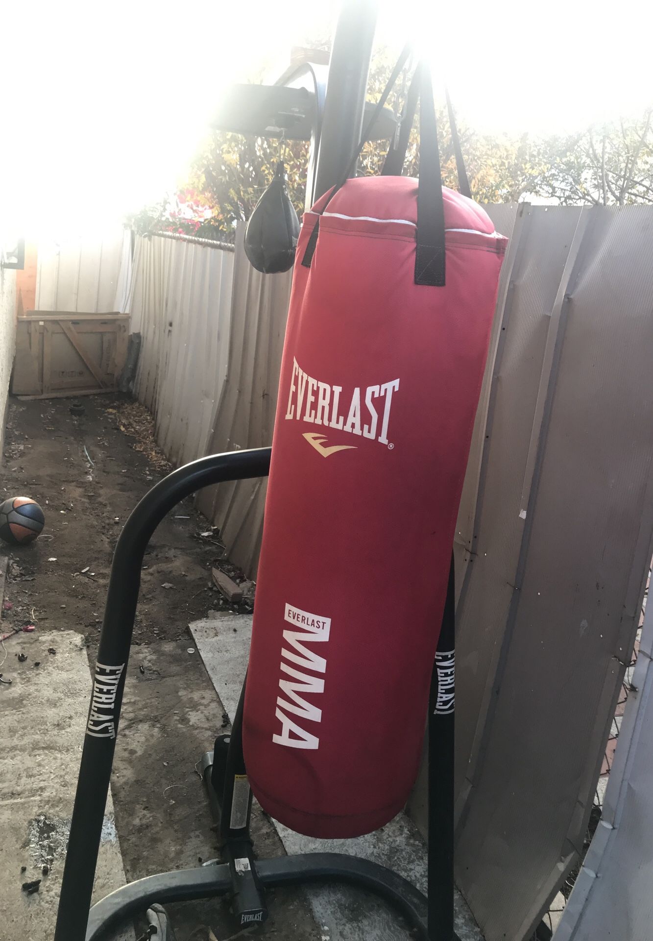 Speed Ball and boxing punching Bag