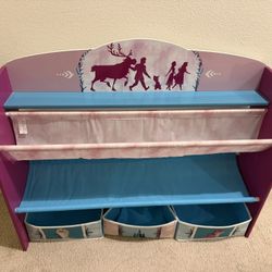 Frozen Book Case
