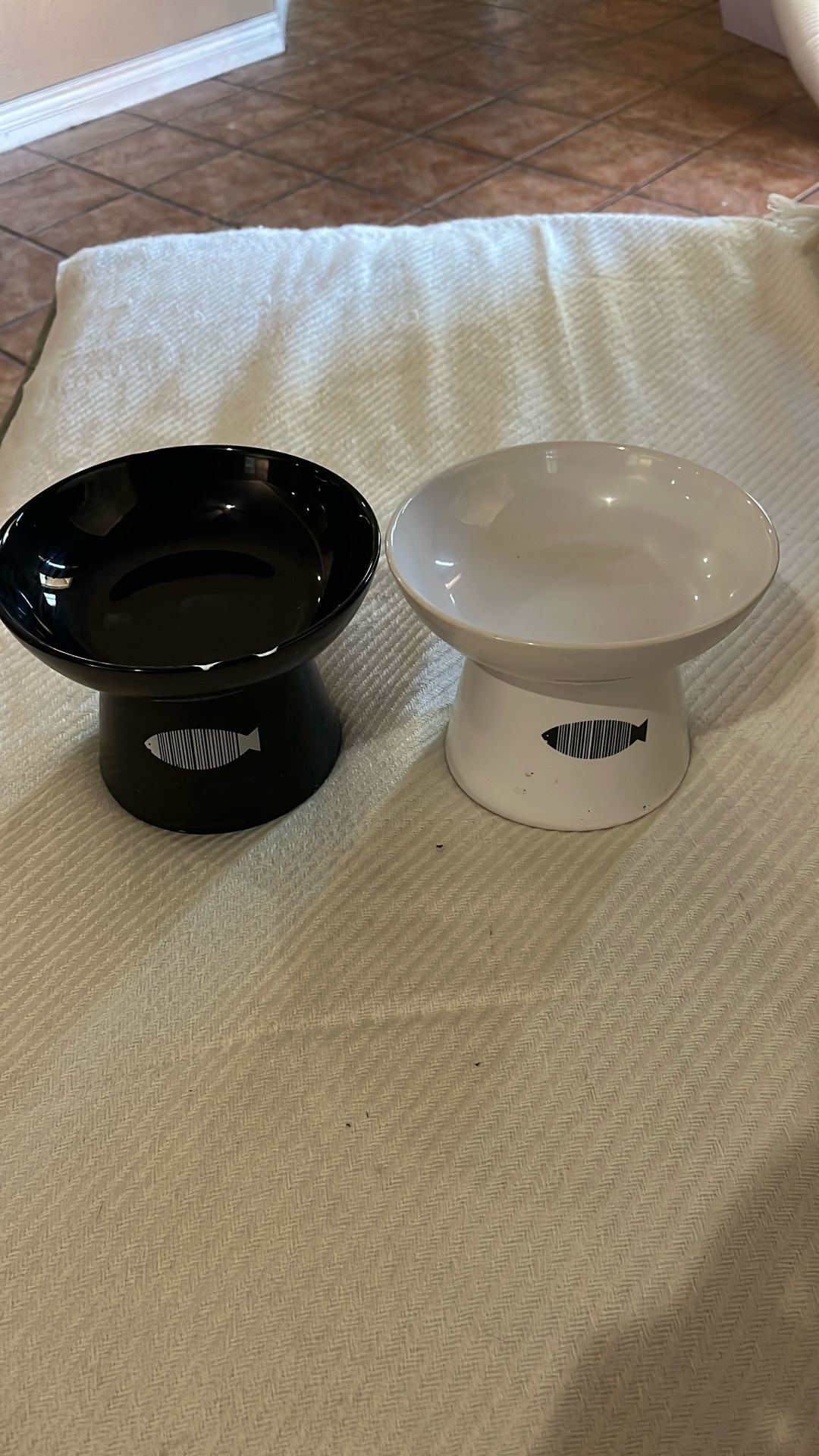 2 Pack Cat And Small Animal Ceramic Elevated Feeding Bowel