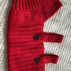 Dog Sweater/Collar/Toys