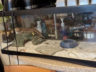 Reptile cage and accessories