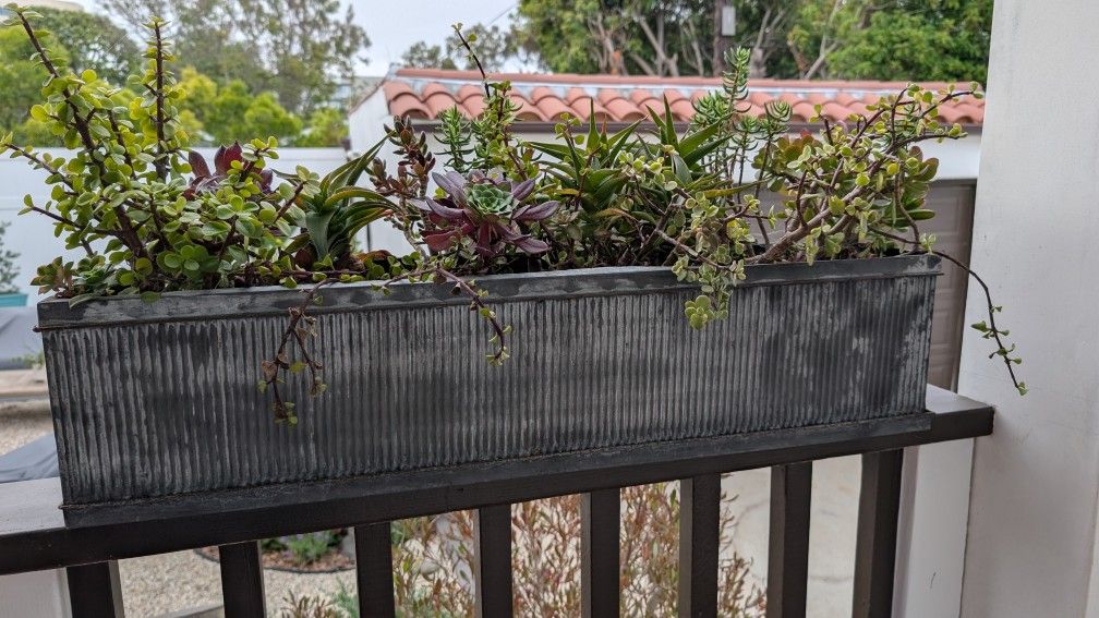 Corrugated Metal Planter Box, 3 Available, Priced Each