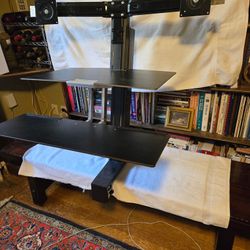ergotron Workfit-s