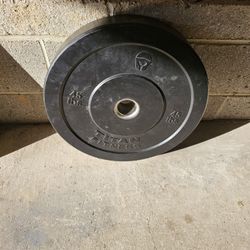 Single 45lb titan fitness Olympic 2" bumper plate weight 