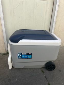 IGLOO MAXCOLD