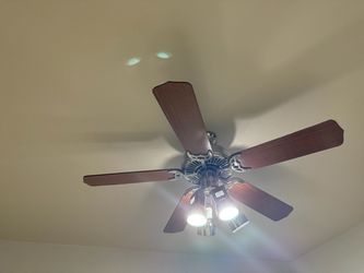 Ceiling fans