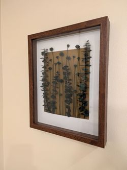 Designs By Rossana Preserved Plant Art