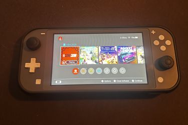Nintendo Switch Lite 