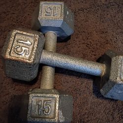 15 Pound Dumbbell Set