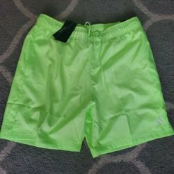 Nike Air Jordan Jumpman Poolside CZ4751-358 Ghost Green Men's Pool Shorts

Size XL