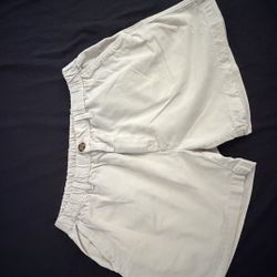 Chubbies Shorts 