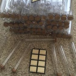 NEW Martha Stewart Test Tube Party Favor Or Craft Kit