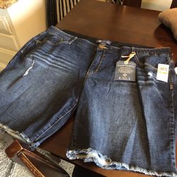 Plus Size Shorts For Women