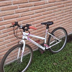 24" Girls Mountain Bike 15 Speed
