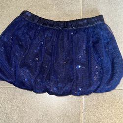2T Baby Gap Sparkly Skirt