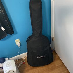 Donner  Guitar 