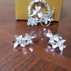  Silver Brooch And Earrings 