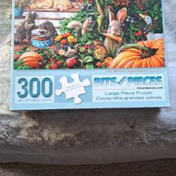 300 Piece Puzzles 