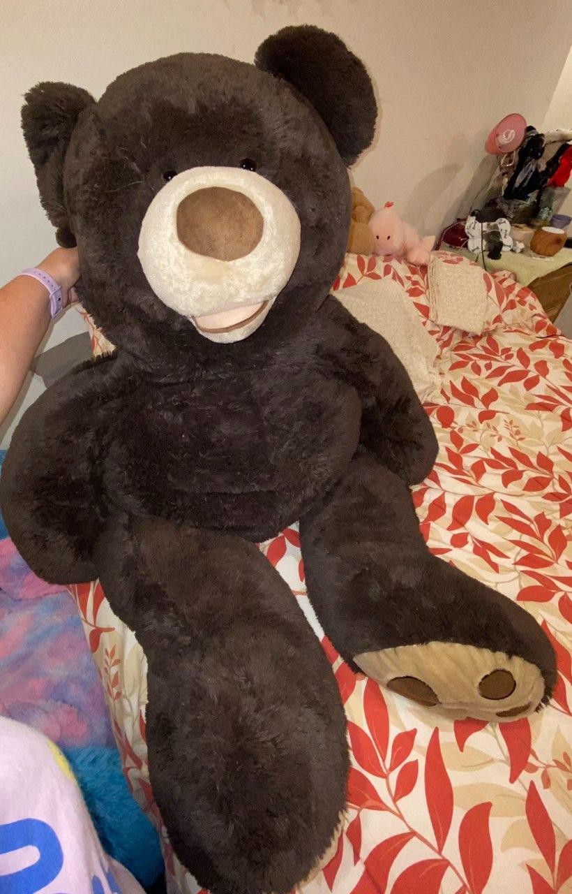 Stuffed Animal Bear 